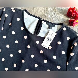 Ann Taylor Polka Dot Blouse